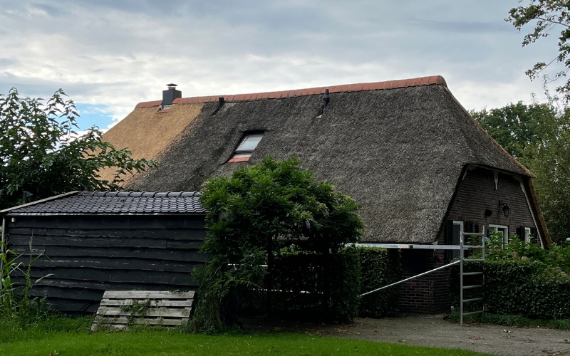 terughalen Rietendak Onderhoud (5)